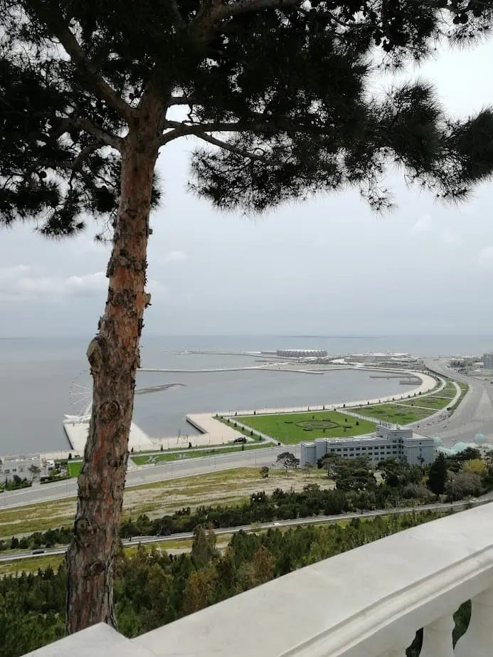 a tree in front of a ferris wheel and green parkland backing onto the caspian sea on baku boulevard baku azerbaijan