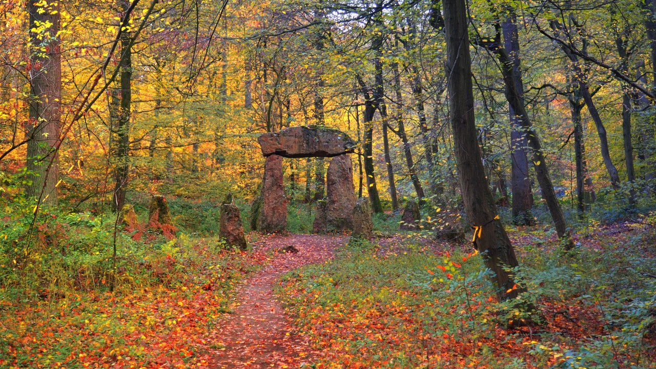 Stonehenges of Sonian Forest