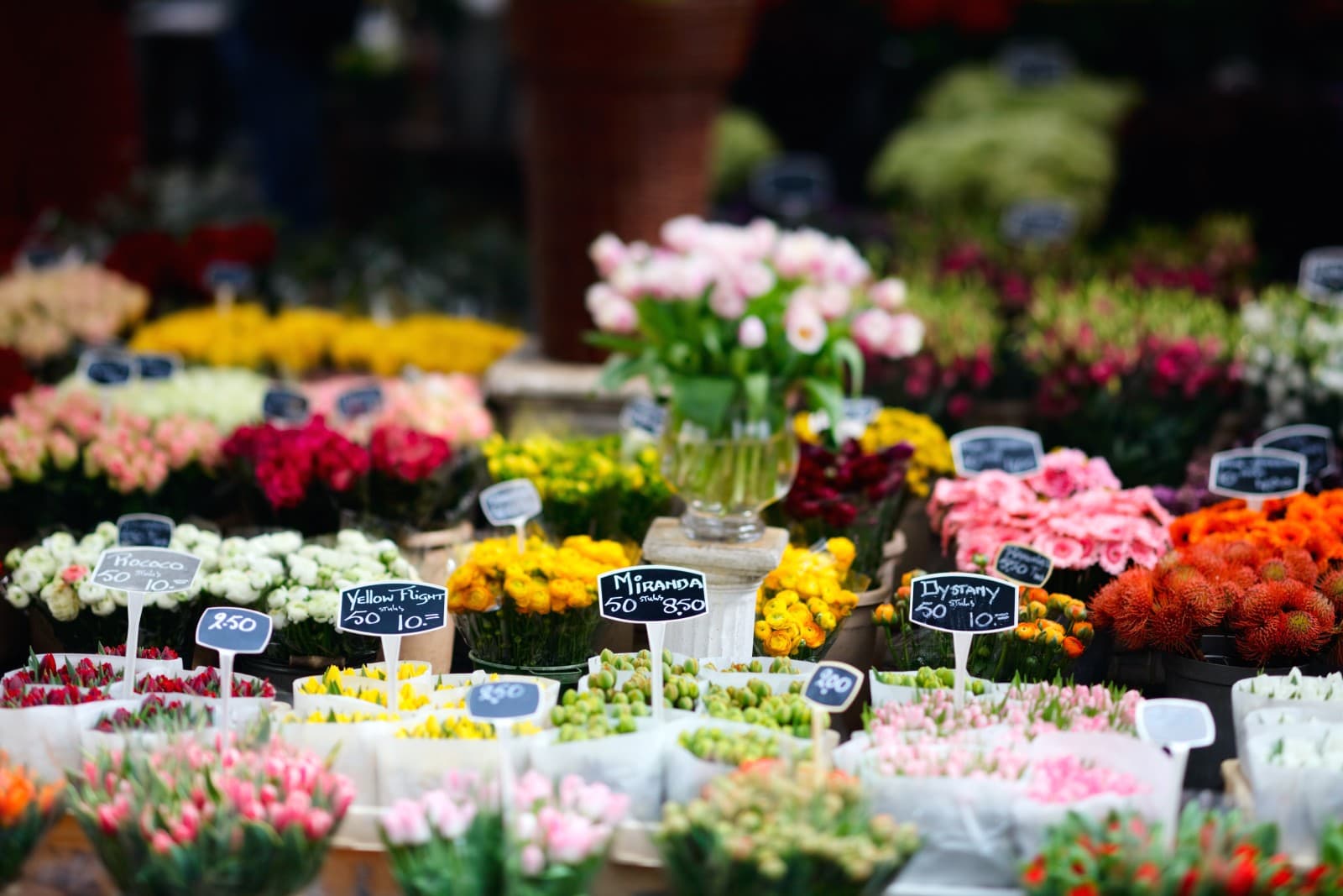 Tulips and other flowers at the market