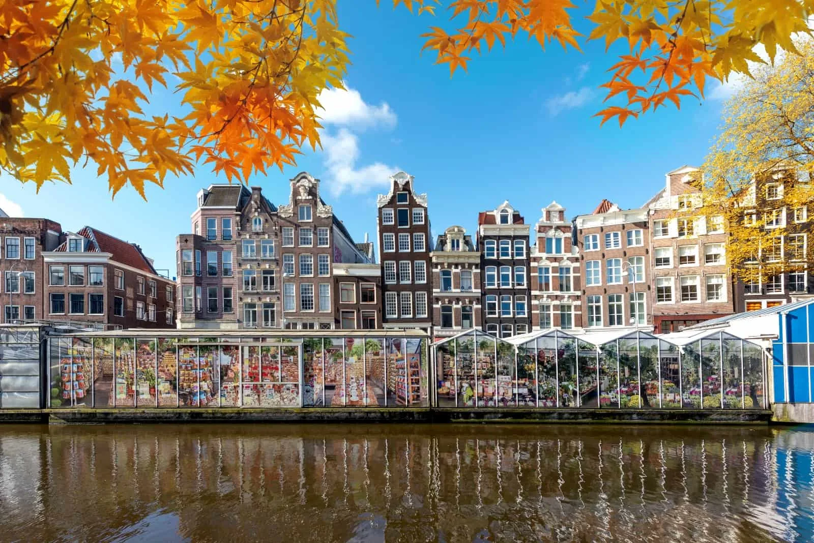 Bloemenmarkt on the Singel Canal