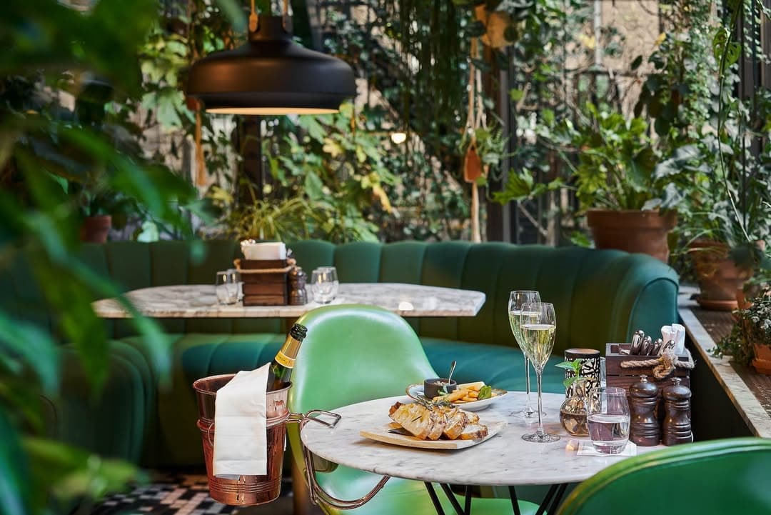 Interiors at Oriole