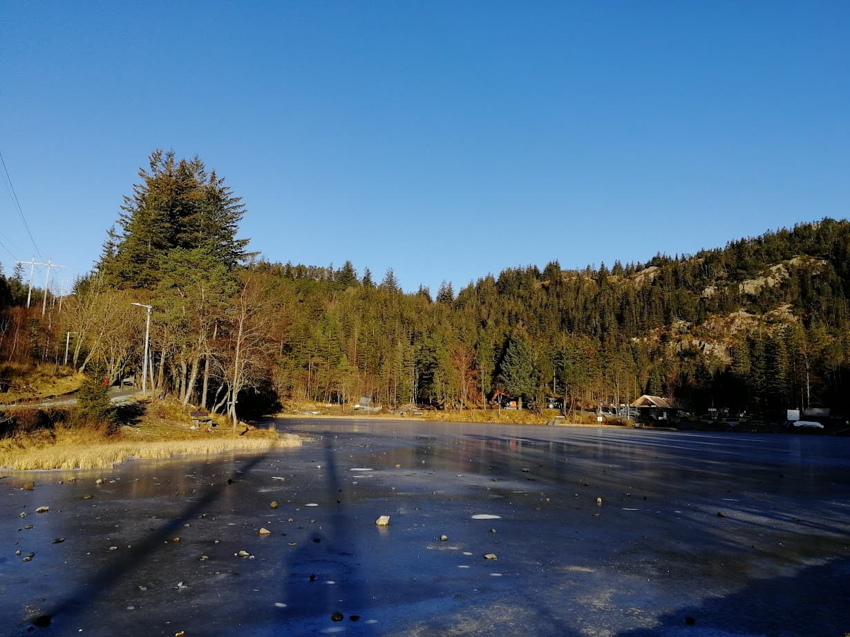 a lake and trees on mount floyen bergen norway