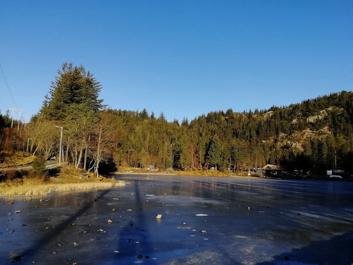 a lake and trees on mount floyen bergen norway