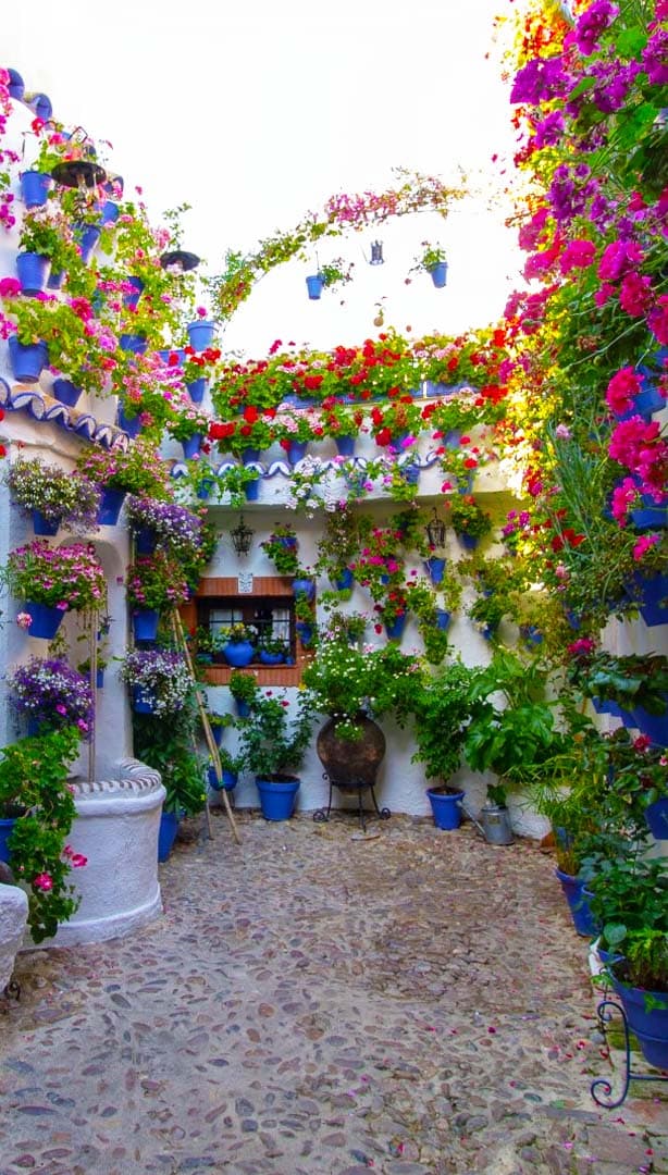 The flower-lined courtyards