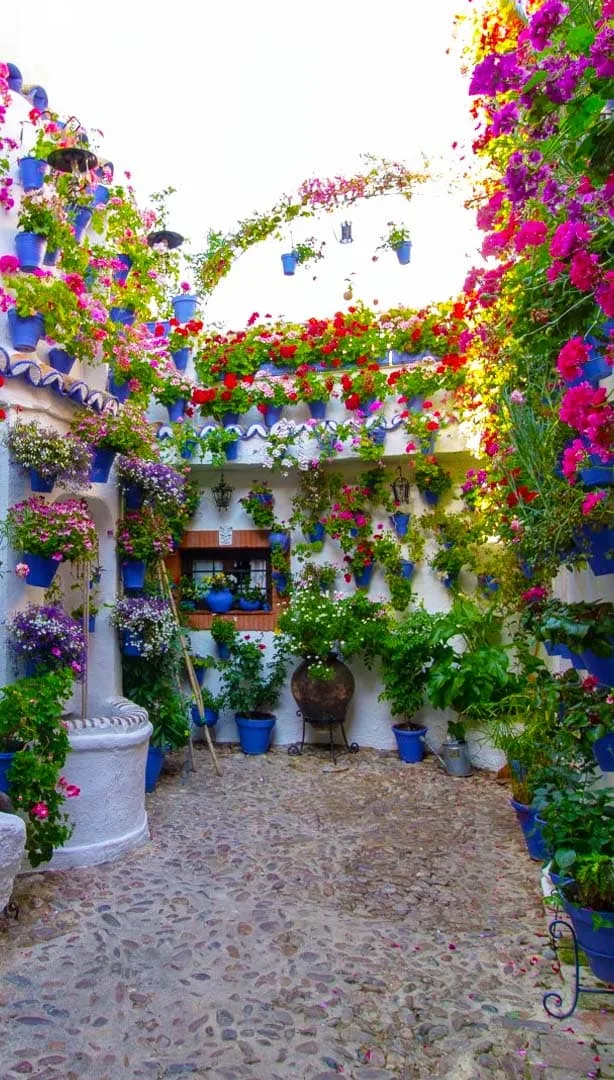 The flower-lined courtyards