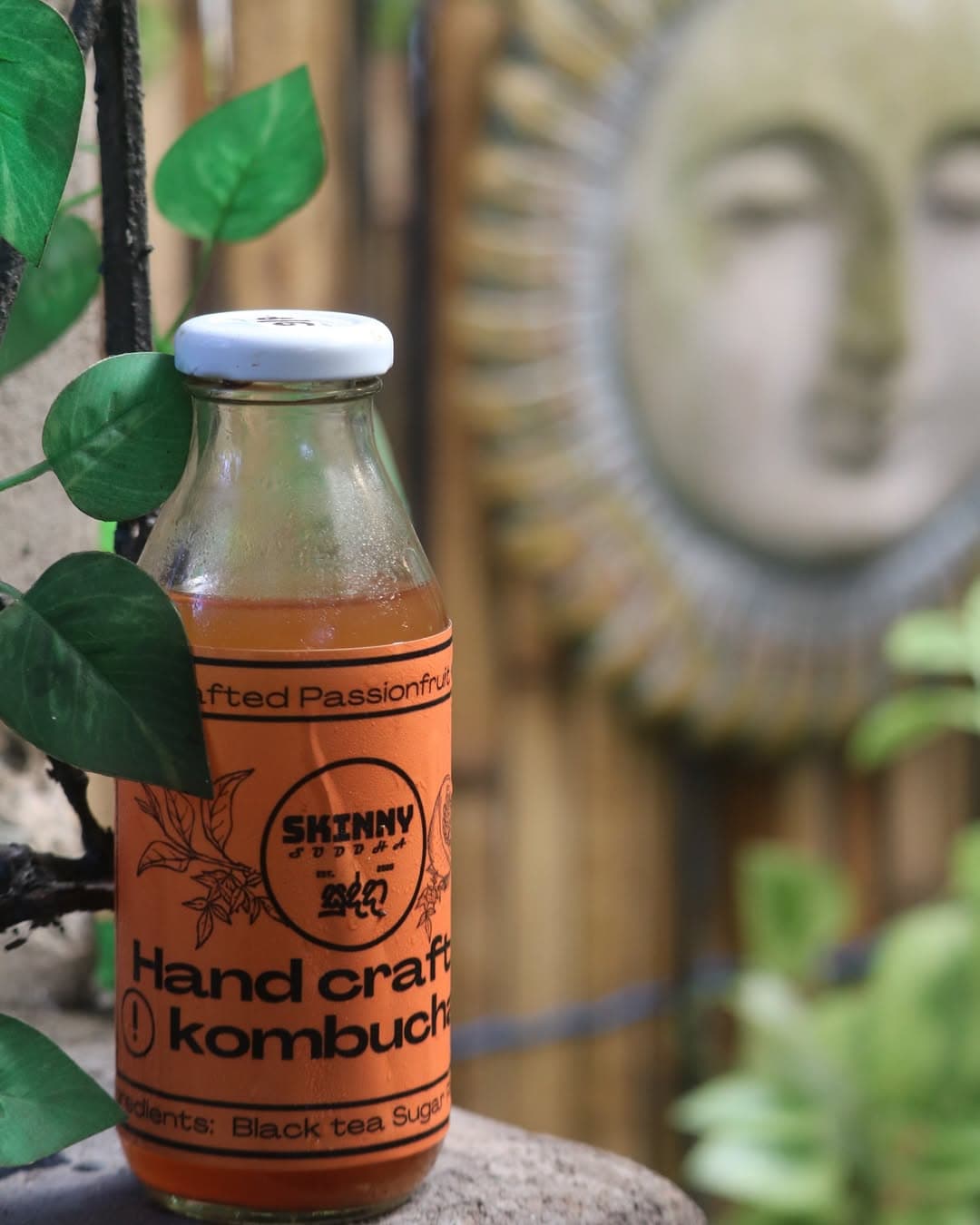 Kombucha