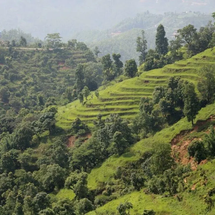 Terraced fields in Nepal