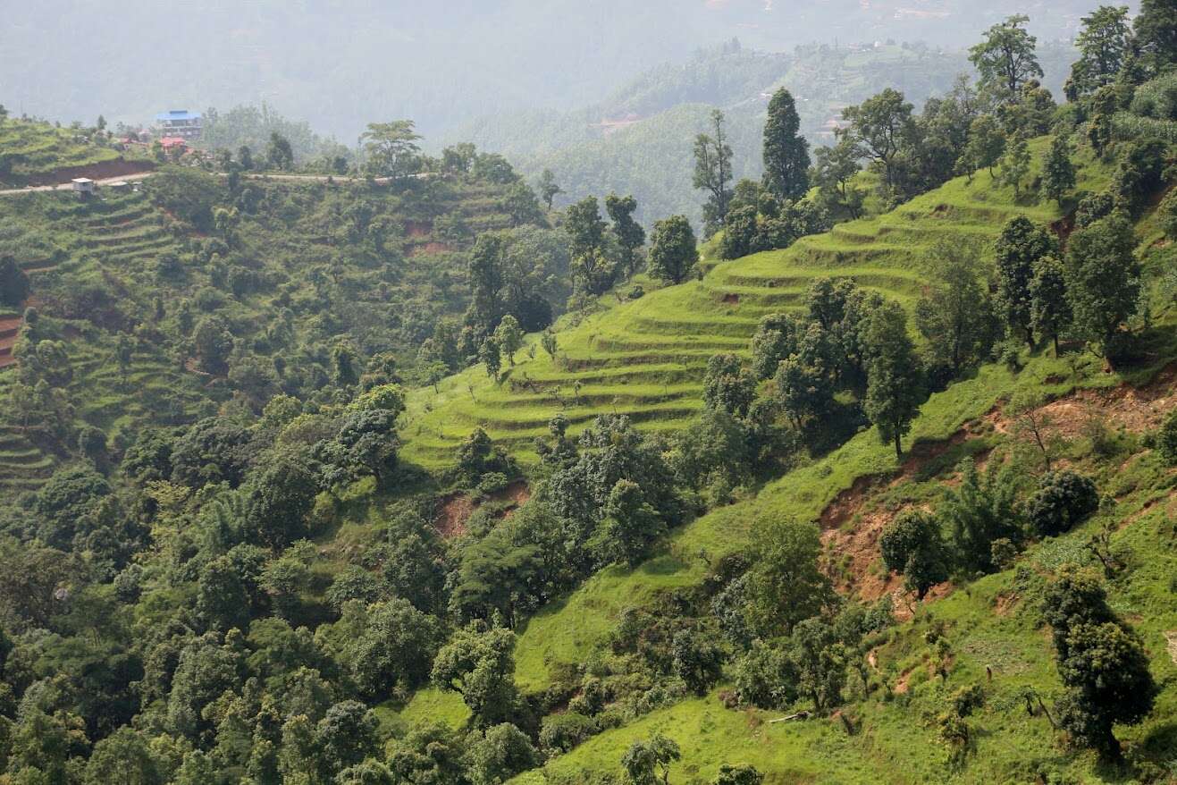 Terraced fields in Nepal