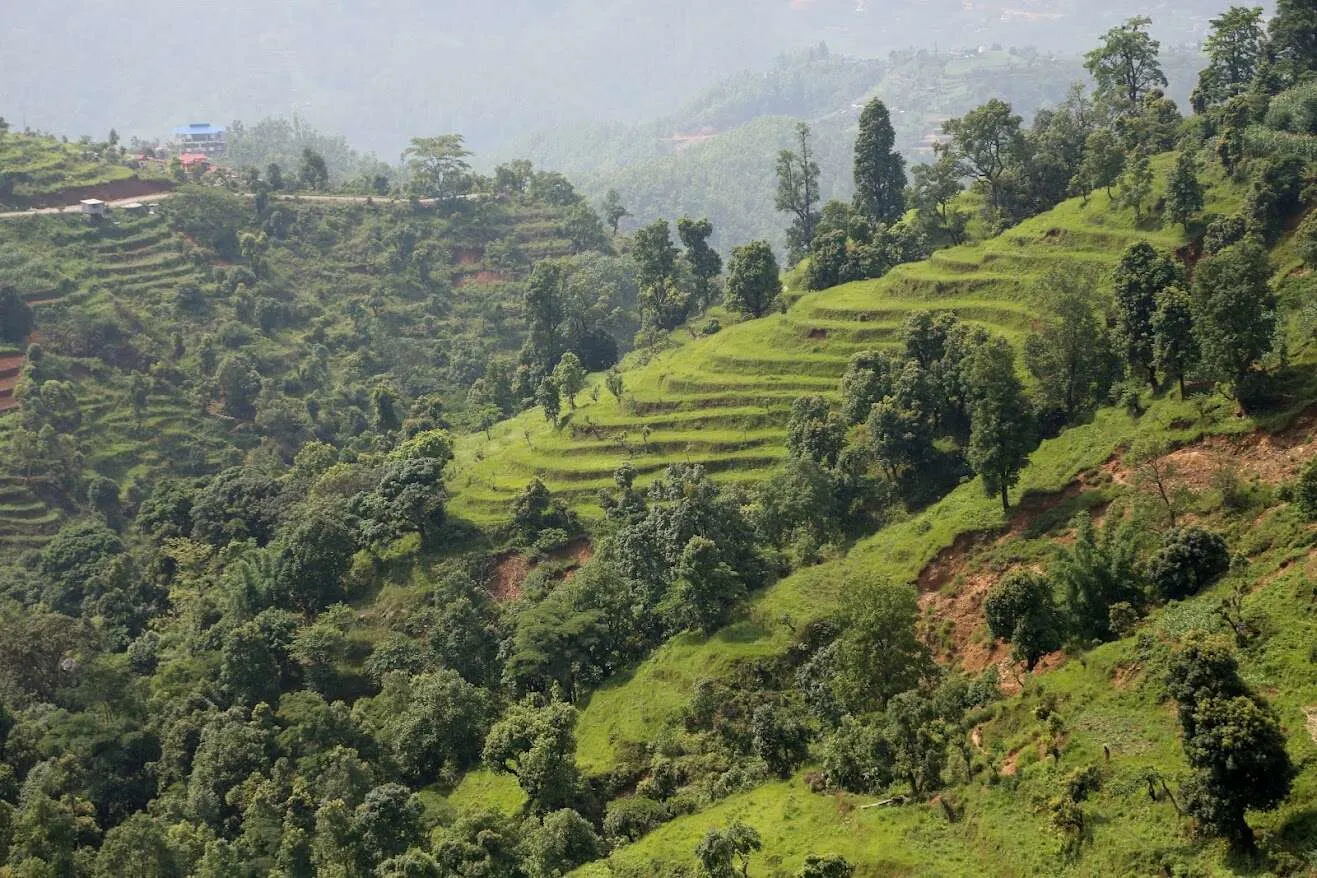 Terraced fields in Nepal