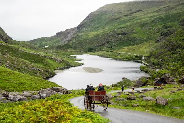 a jaunting car horse and carriage near killarney ireland