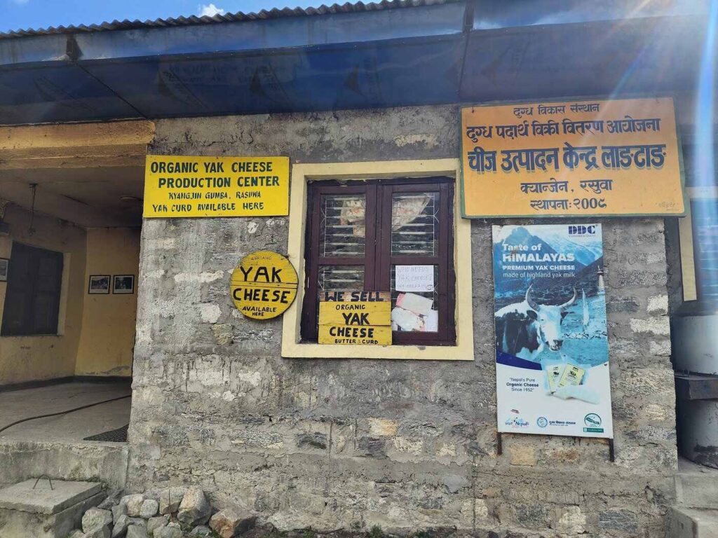 Cheese factory near Langtang Village