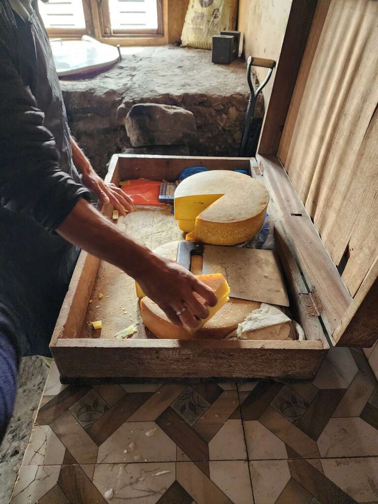 Yak cheese production in Kyanjin Gompa