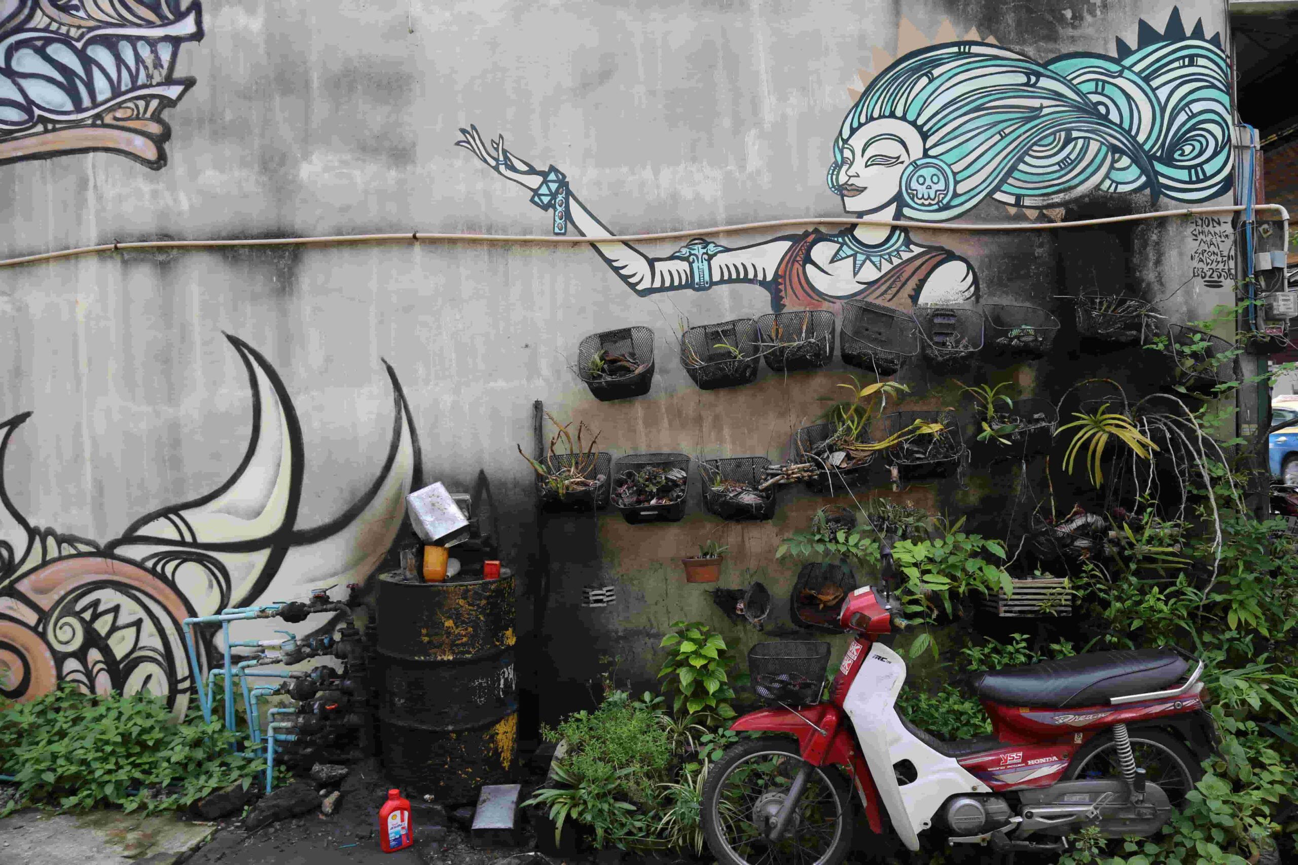 Walls with art murals in Chiang Mai