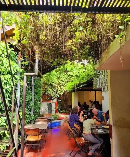 Kashi Art Cafe outdoor seating area