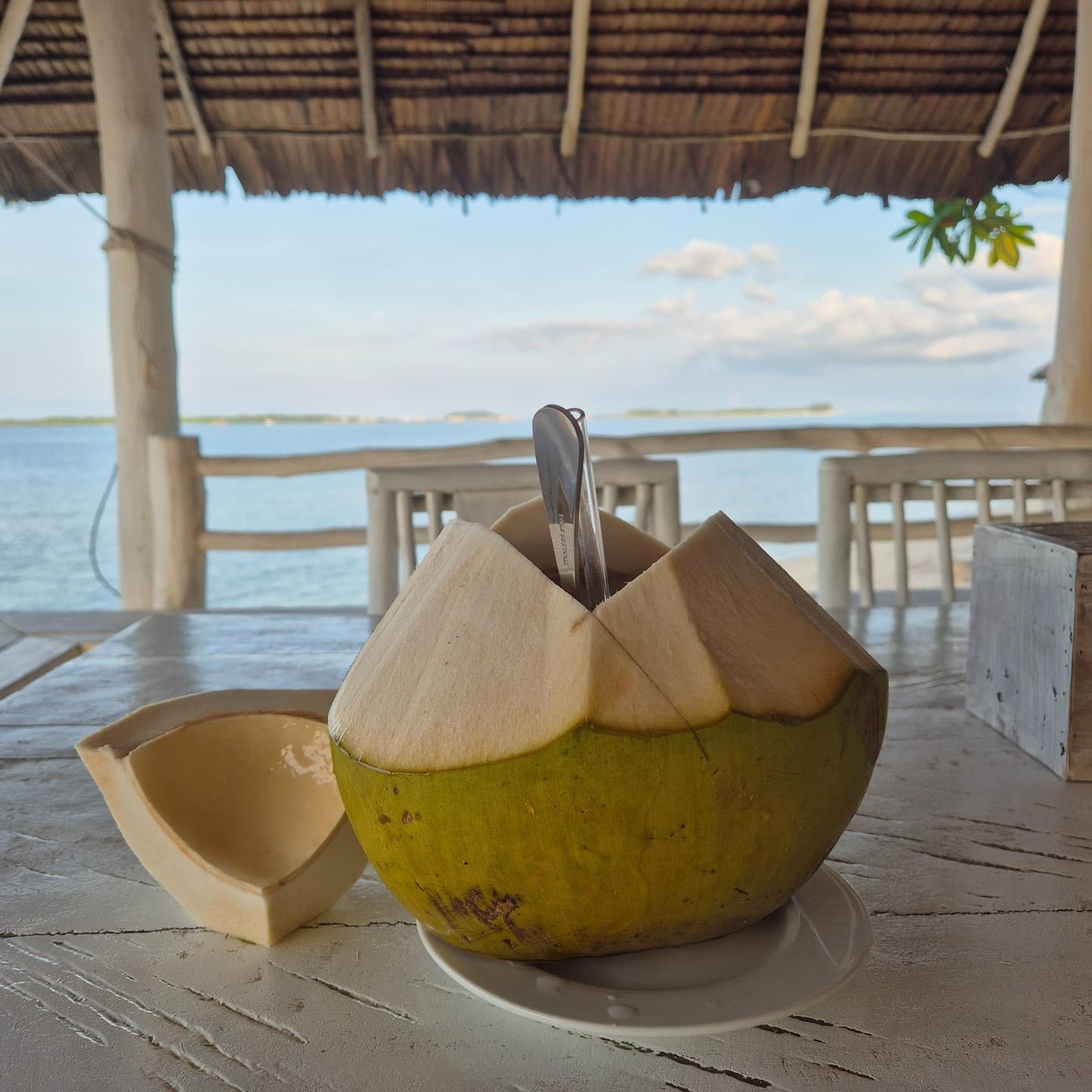 Enjoy a coconut in beach paradise