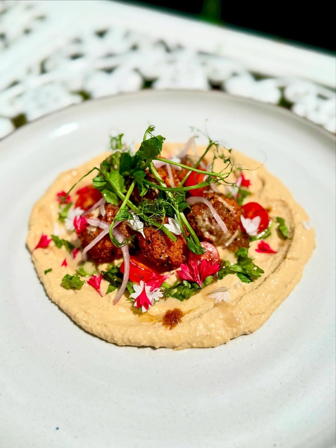 Farm to table food experiences in Kranji - hummus and falafels