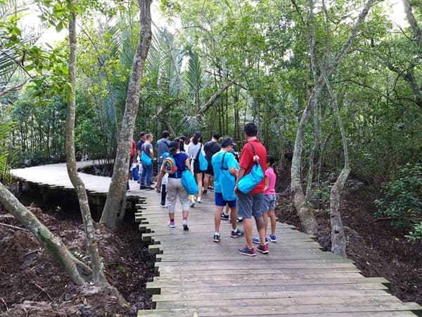 Wetlands walk