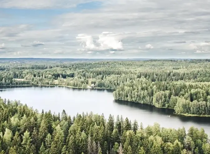 A lake and coniferous forests seen from a hill