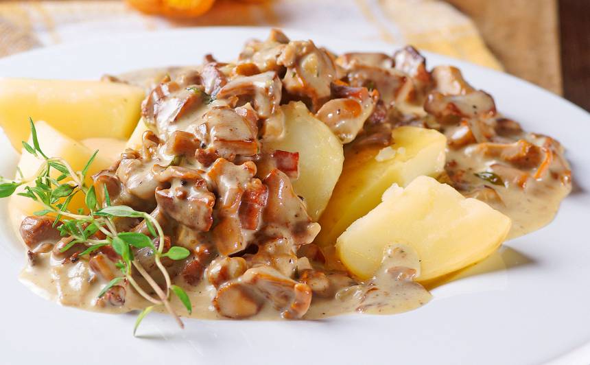 a white plate with chanterelle mushrooms over new potatoes known as kartupeli ar gailenu merci in latvian traditional food