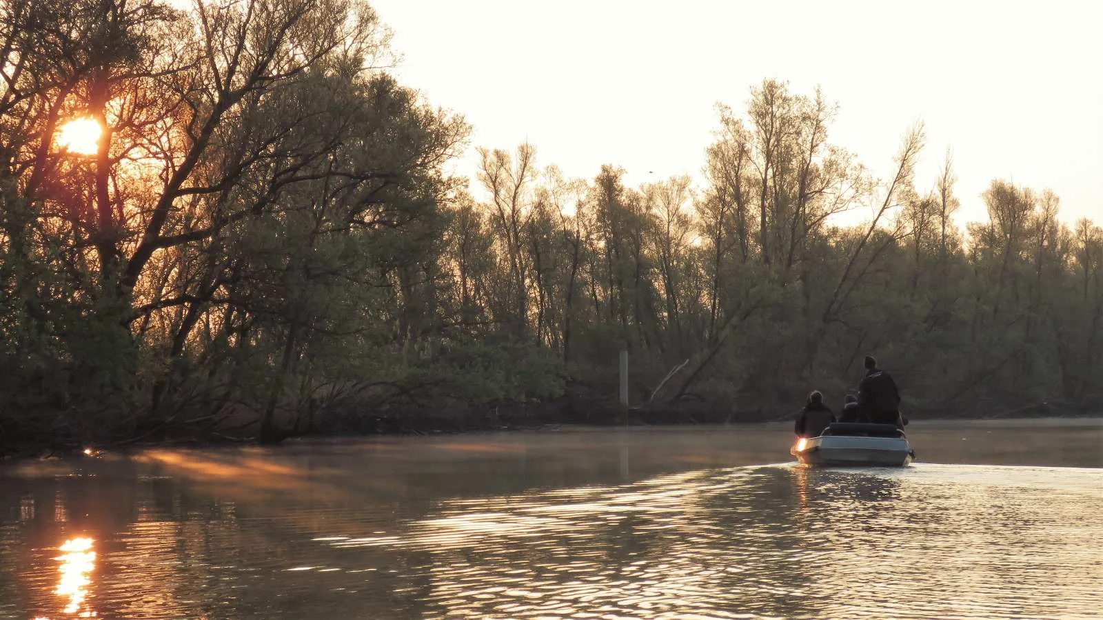 A boat on the water in Biesbosch