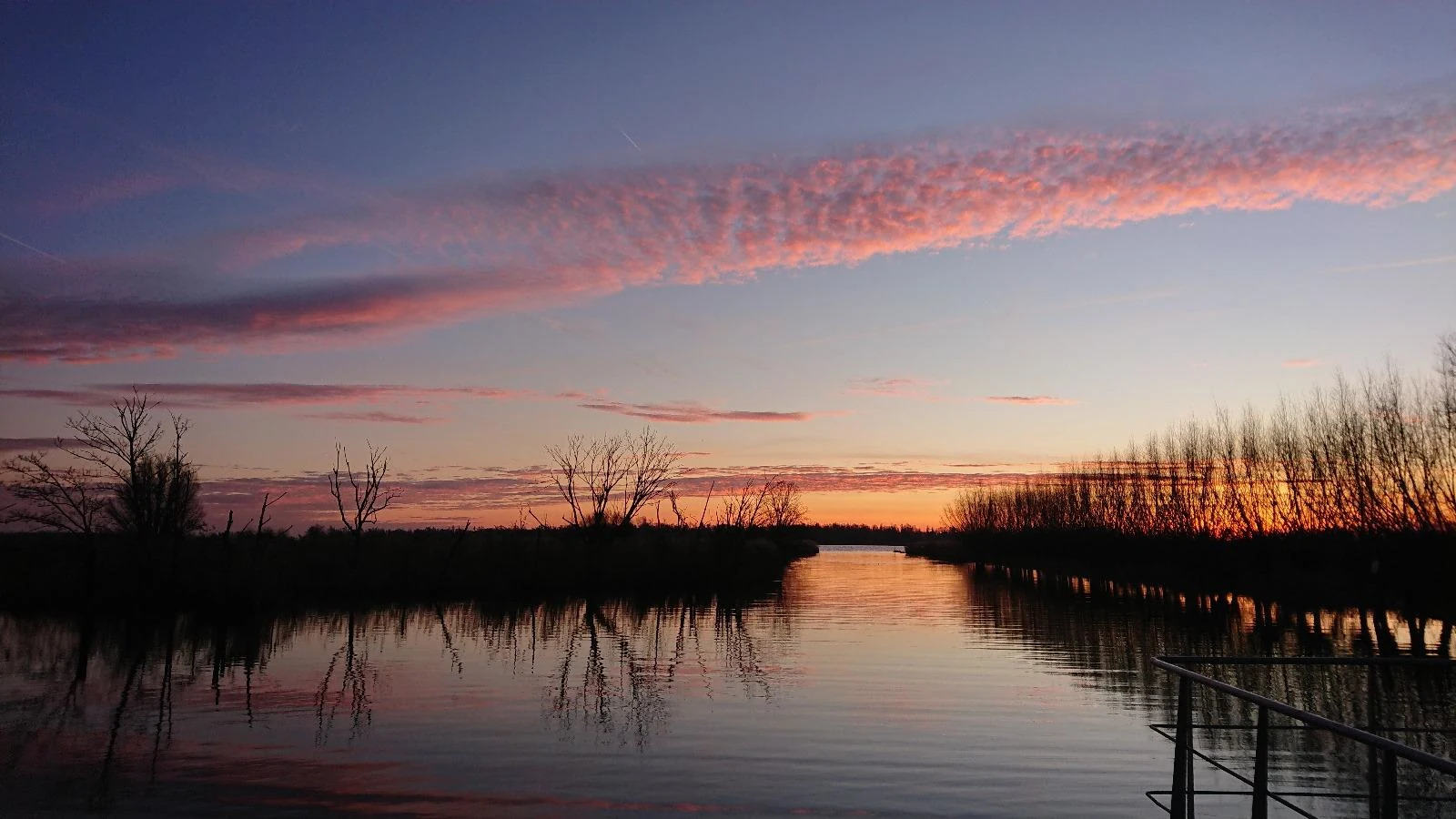A sunset over water and coastal vegetation