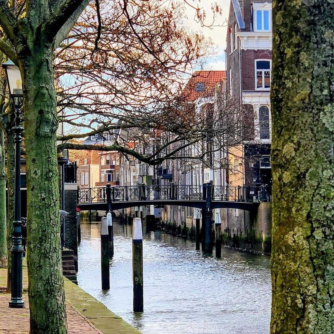 A canal bordered by houses and trees in Dordrecht
