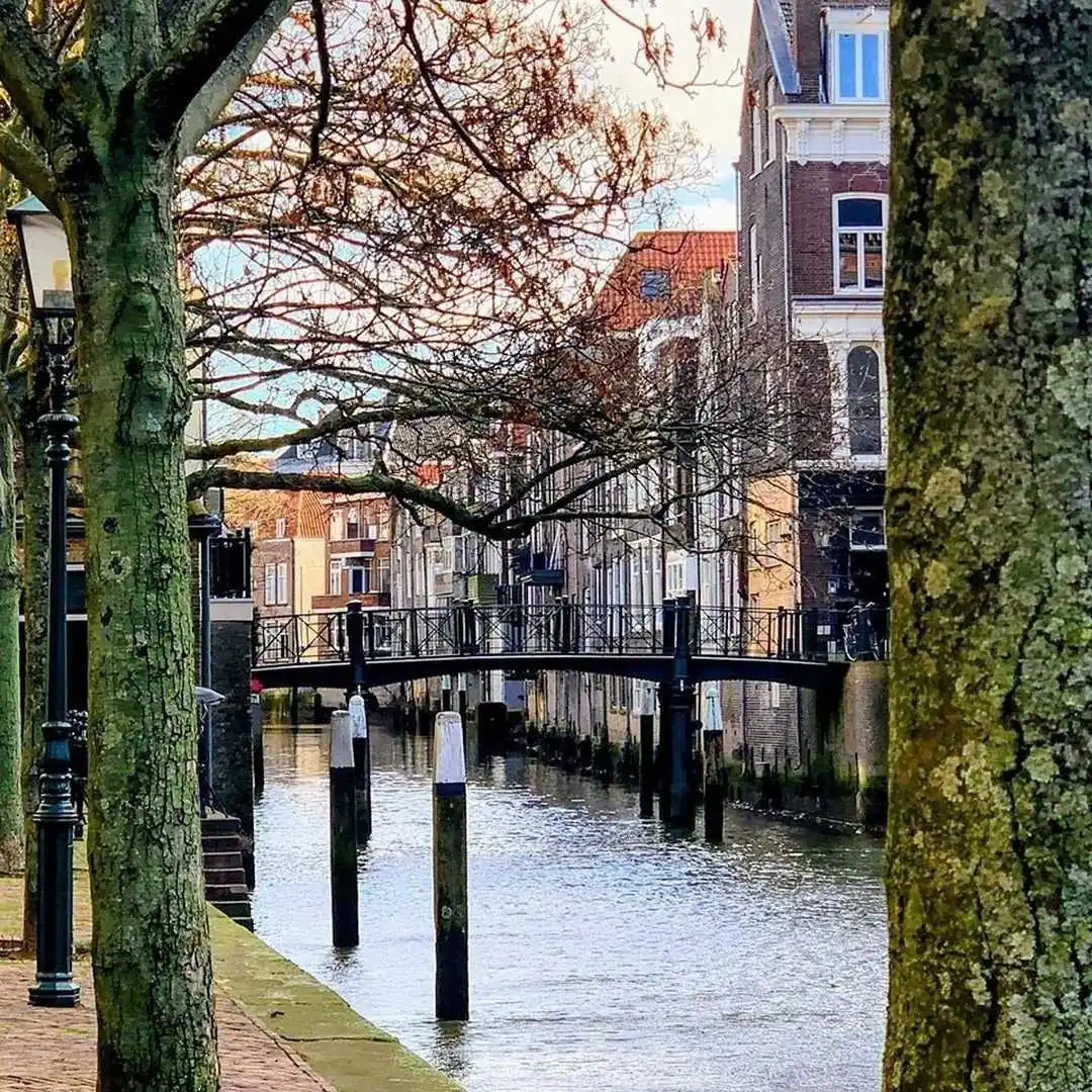 A canal bordered by houses and trees in Dordrecht