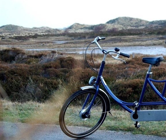 A bicycle in front of a dune landscape with shurbs and a lake in the background