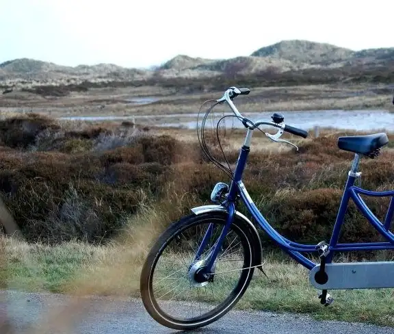 A bicycle in front of a dune landscape with shurbs and a lake in the background