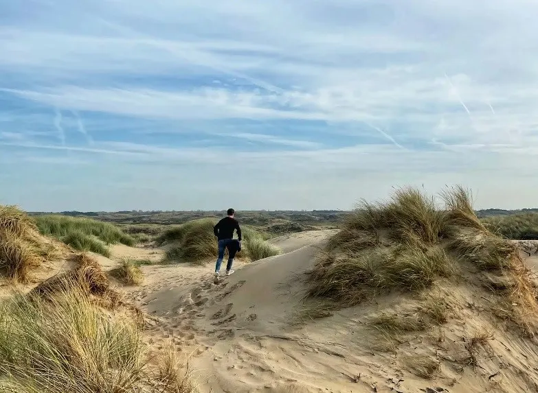 Grassy sand dunes with a person walking on them