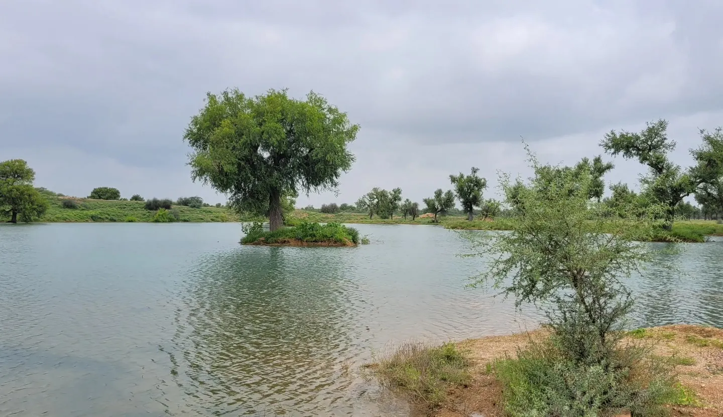 Rajasthan in the monsoon 