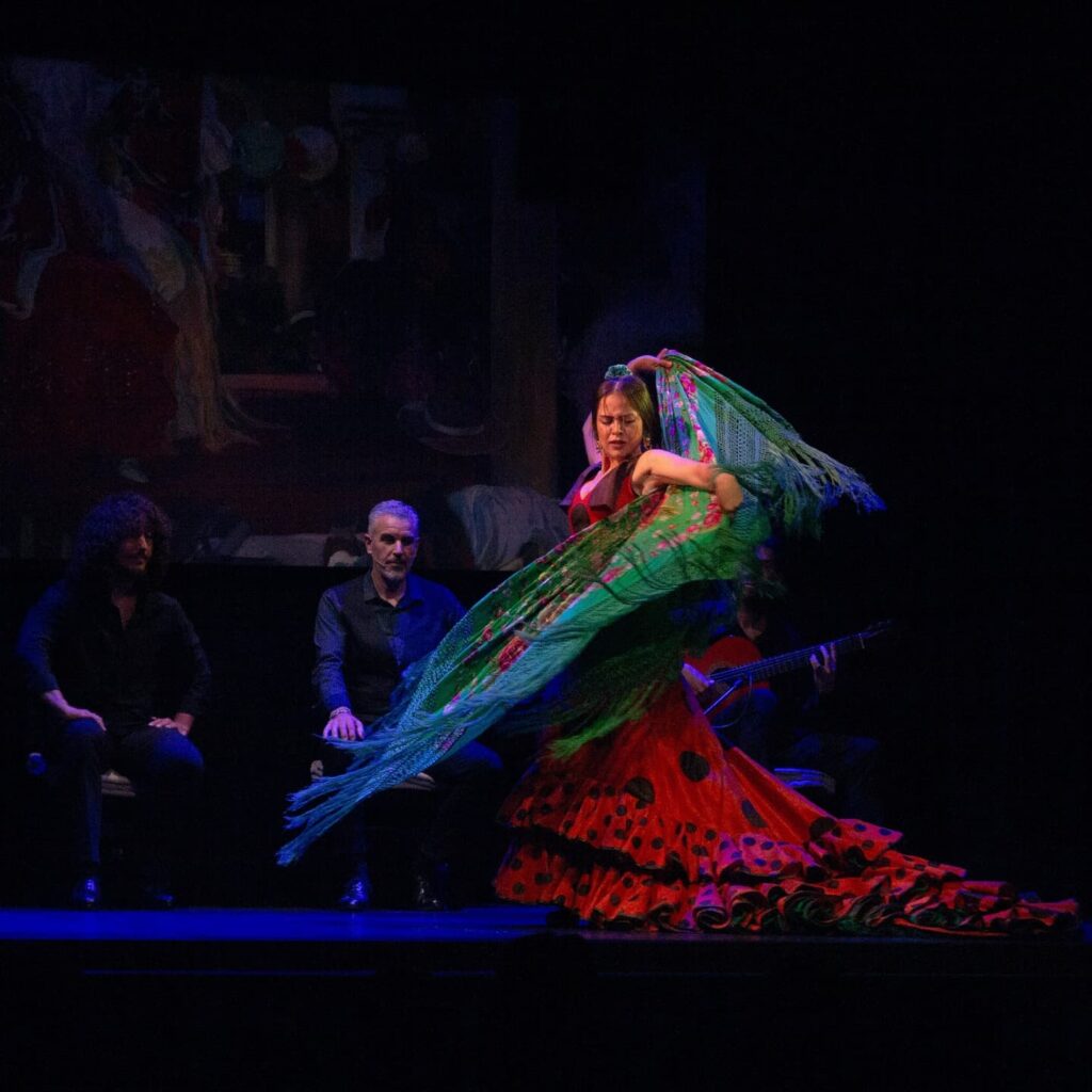 Flamenco show