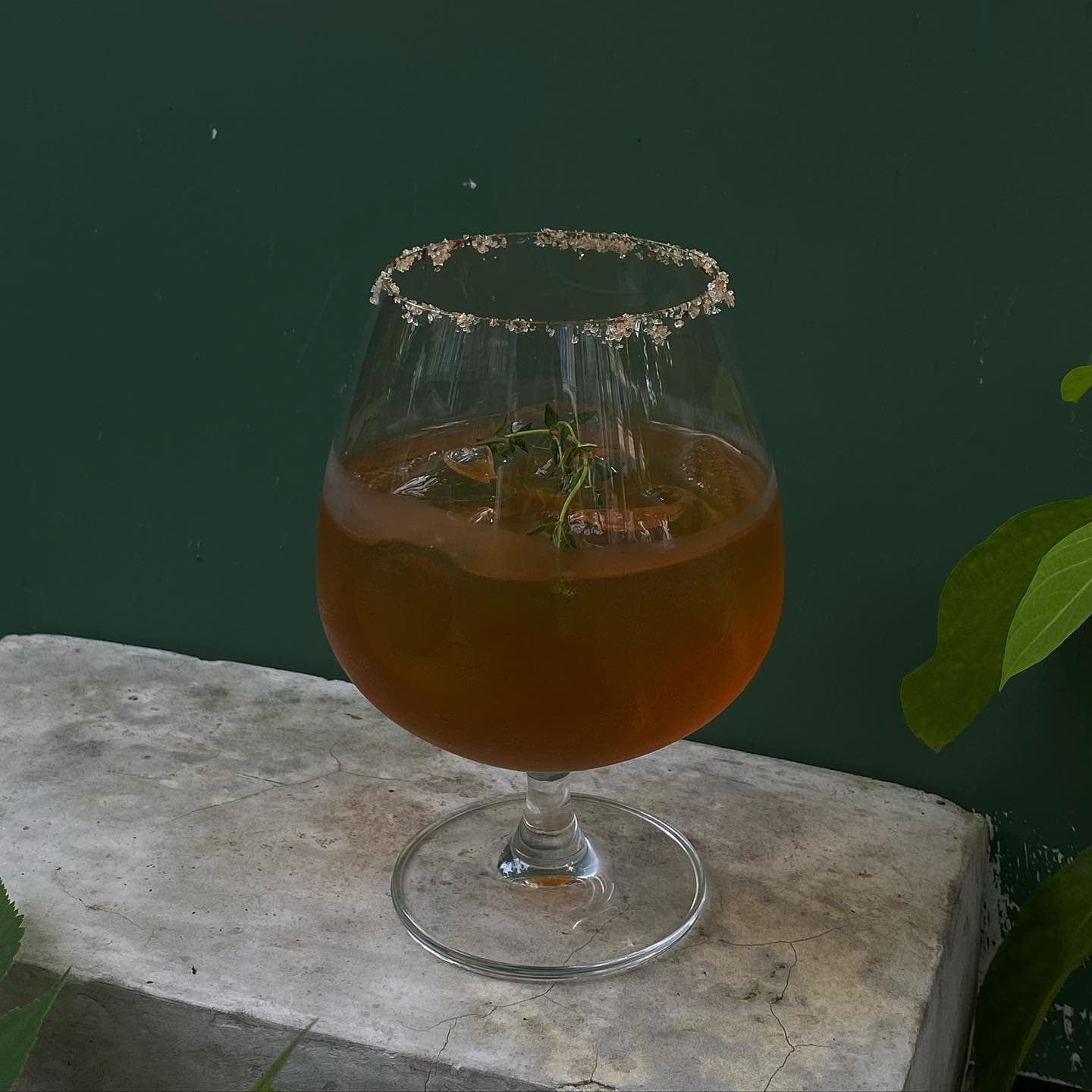 Kombucha