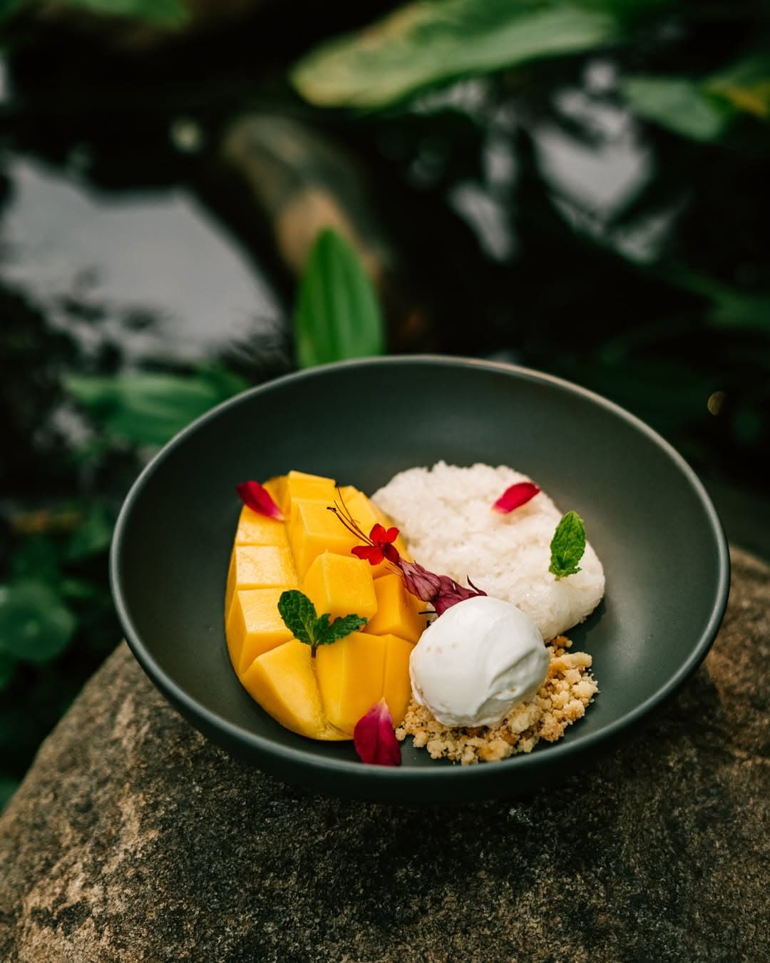 Thai mango sticky rice