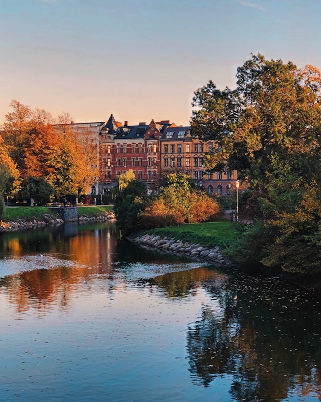 trees cover buildings on rorsjokanalen in malmo sweden