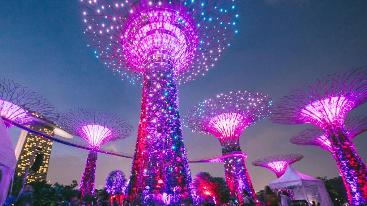 The Gardens Phasody light show at Gardens by the Bay