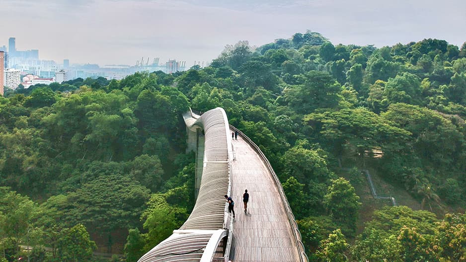 The Southern Ridges Henderson Waves