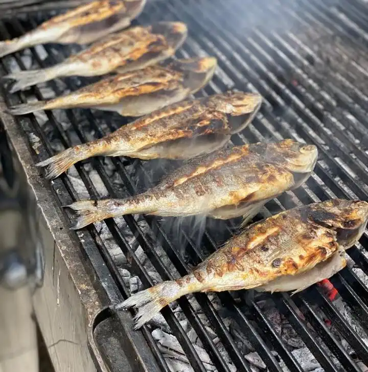 whole fish being grilled on a barbeque in albania