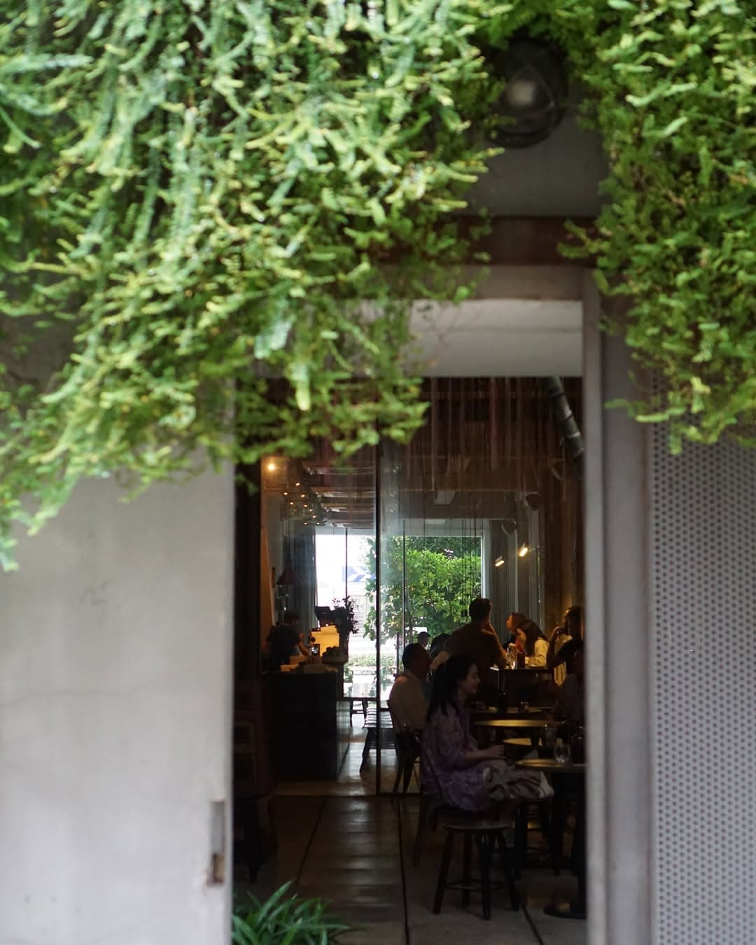 Exterior of PUNCH dripping in greens