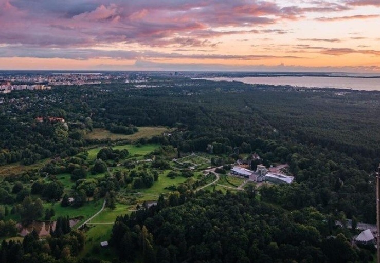 A view from Tallinn TV Tower over forests, the city, and the sea