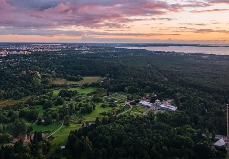 A view from Tallinn TV Tower over forests, the city, and the sea