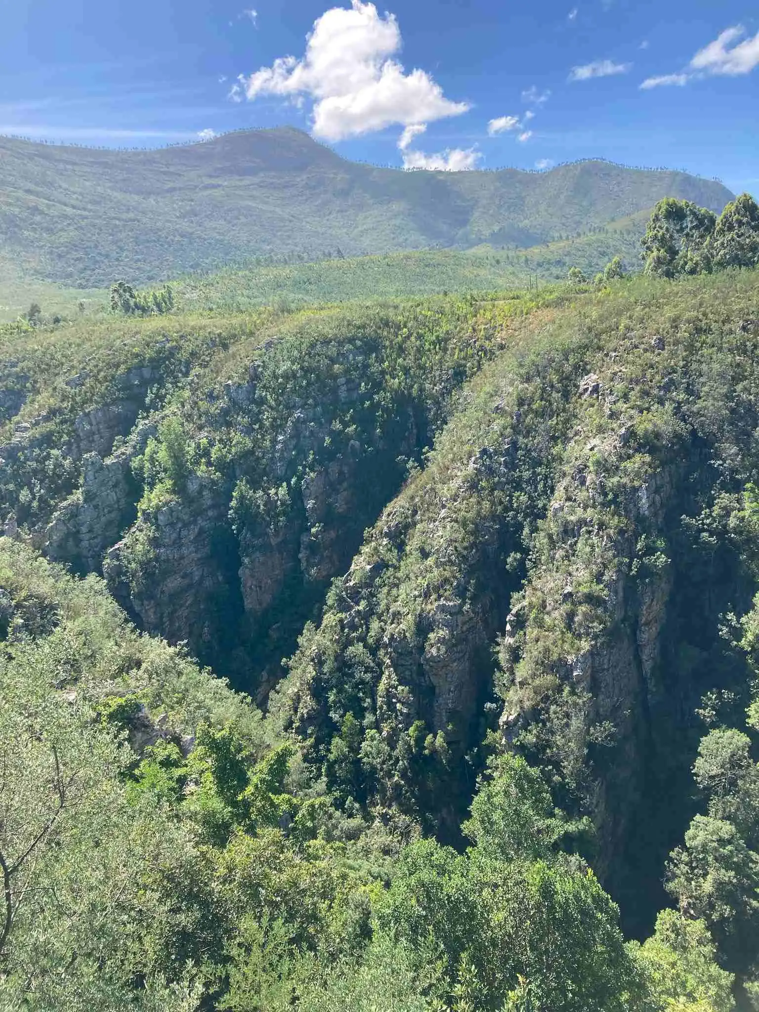 A ravine in the Crags