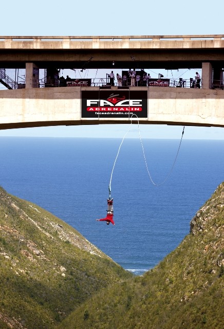 A person bungy jumping off Bloukrans bridge
