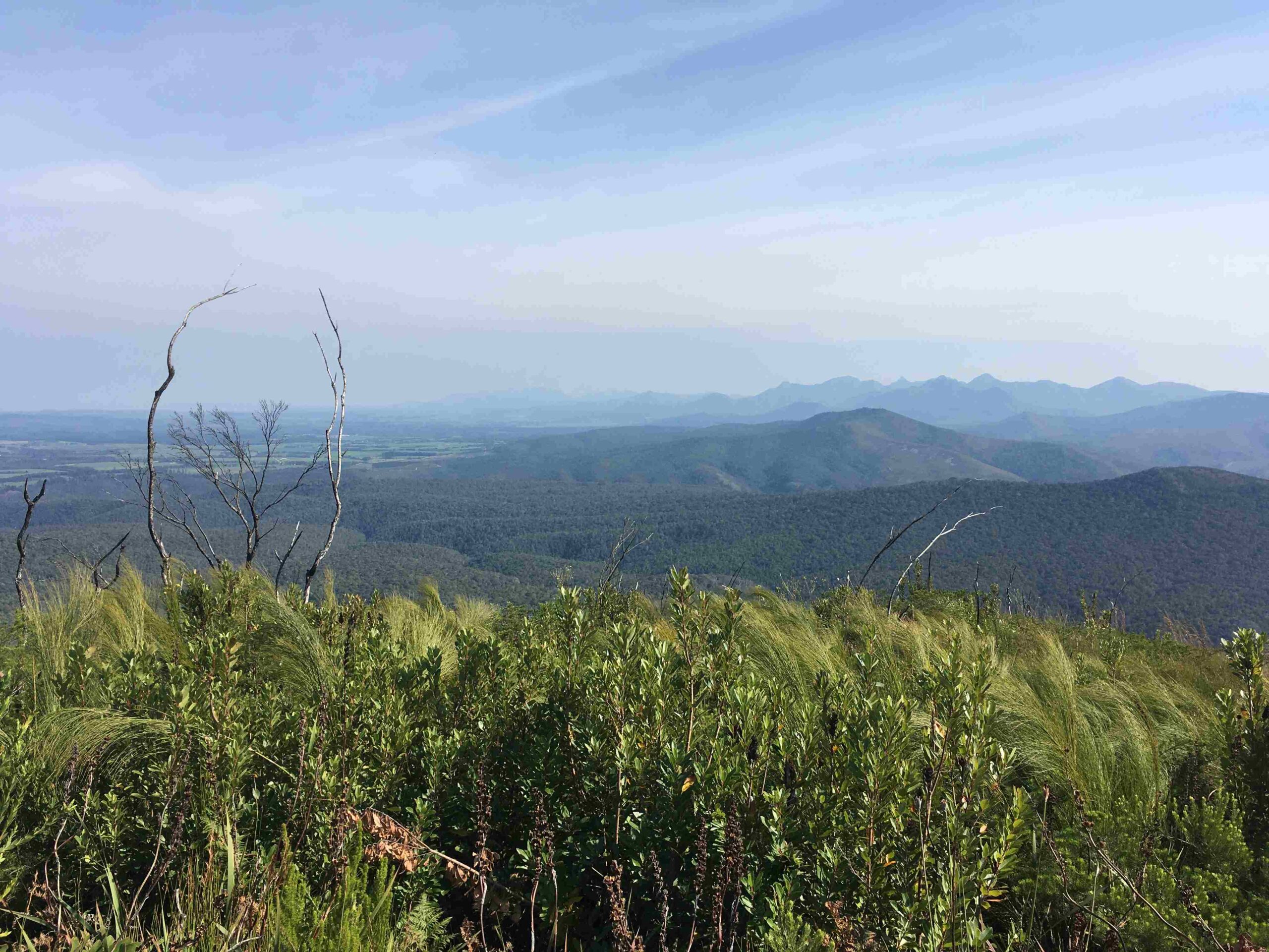 Outeniqua mountains 