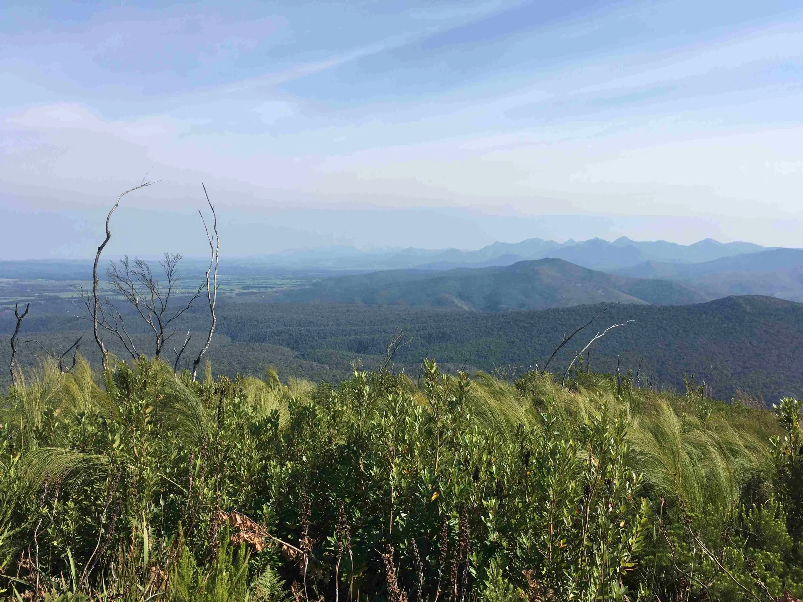 Outeniqua mountains