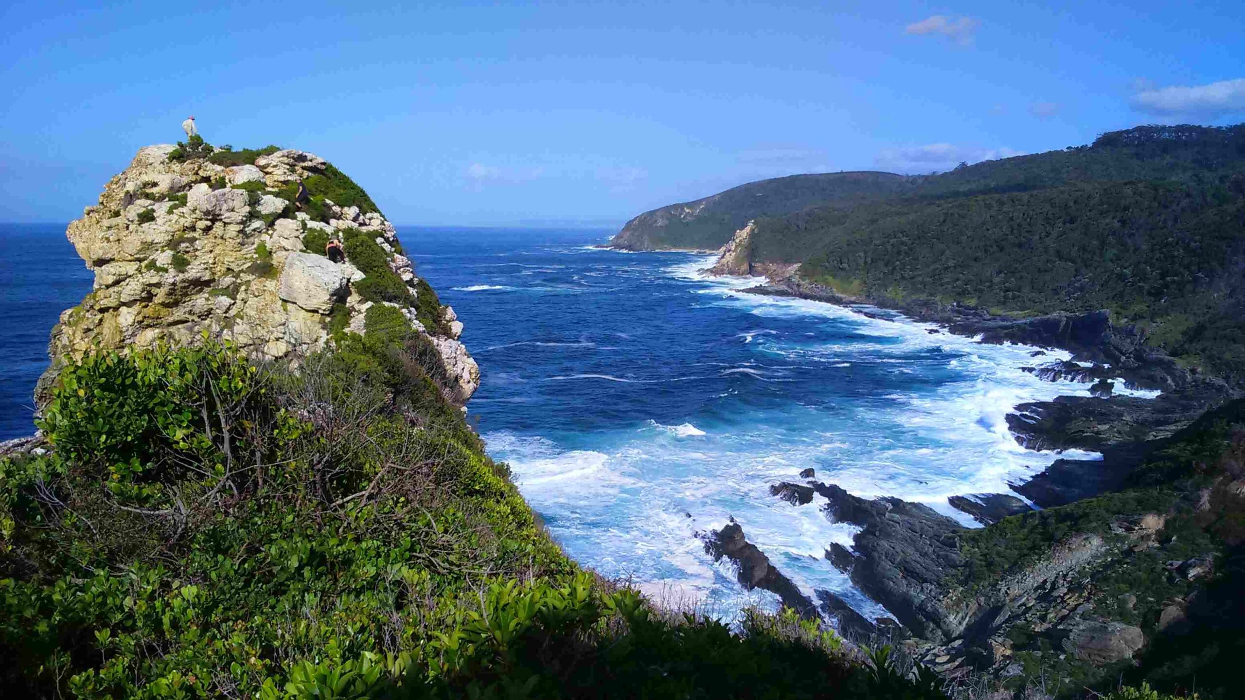 Rocks and forest by a blue ocean