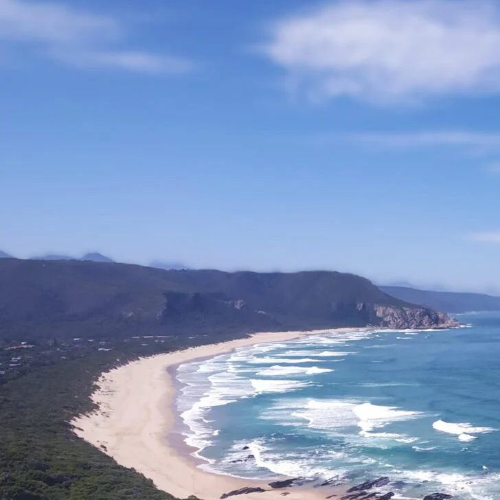 A white beach bordered by the ocean and a green forest