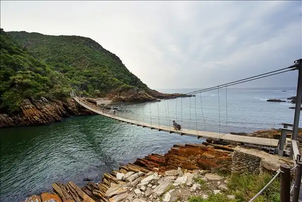 A suspension bridge over the river mouth
