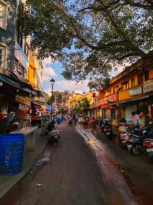 VV Puram Food Street in Bangalore, India