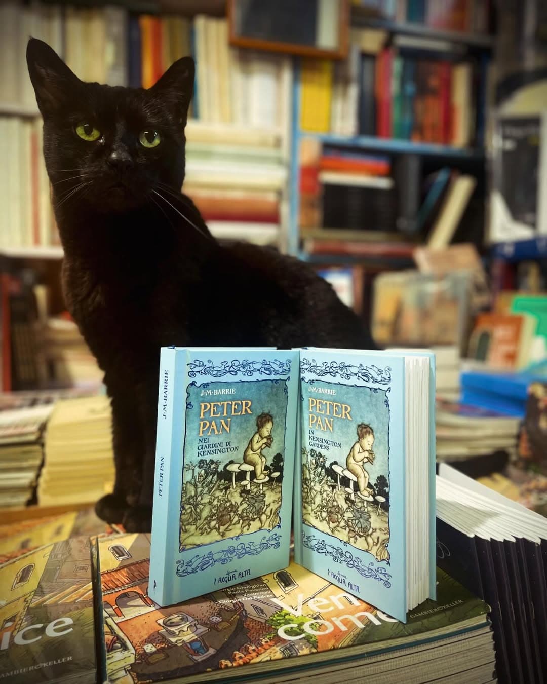 Books available from the viral Libreria Acqua Alta in Venice